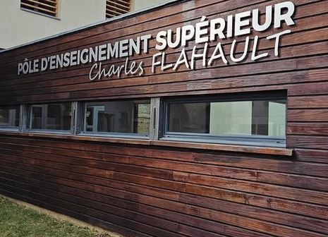 Les applications insoupçonnées du lettrage découpé : un atout visuel incontournable pour votre marque en Occitanie
